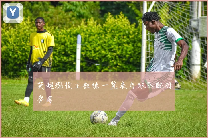 英超现役主教练一览表与球队配对参考